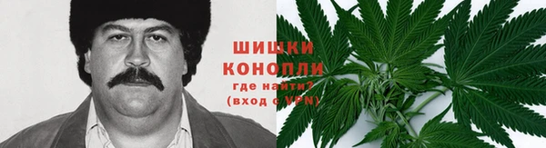 apvp Карпинск