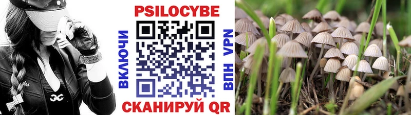 Галлюциногенные грибы MAGIC MUSHROOMS  как найти наркотики  Сосновоборск 