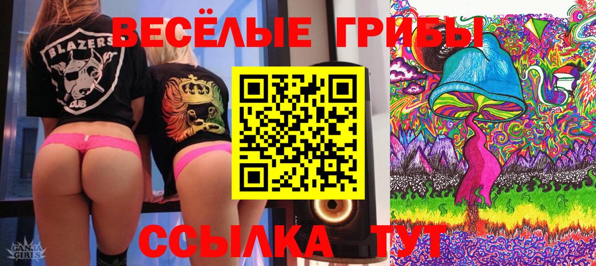 Сосновоборск  Псилоцибиновые грибы мицелий  цена   Вход с VPN 