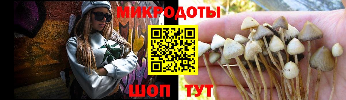 Галлюциногенные грибы прущие грибы Сосновоборск