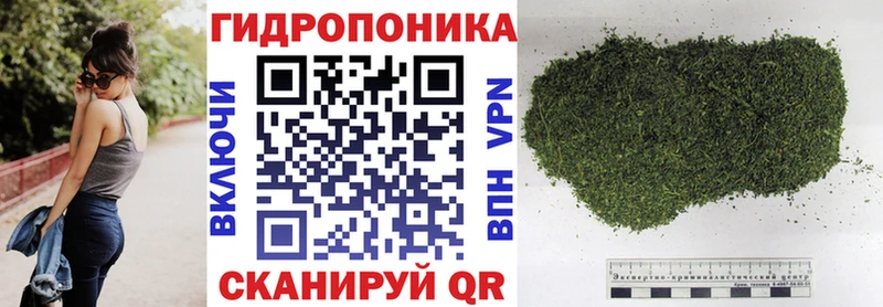блэк спрут вход  Сосновоборск  Конопля марихуана 